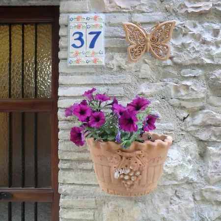 La Corta Di *