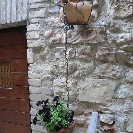 Casa de hóspedes La Corta Di Spello