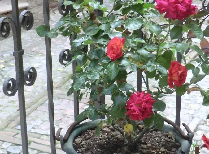 La Corta Di 3* Spello